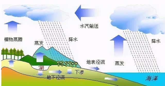 相对湿度和绝对湿度有什么区别（什么叫绝对湿度-什么叫相对湿度）(图5)